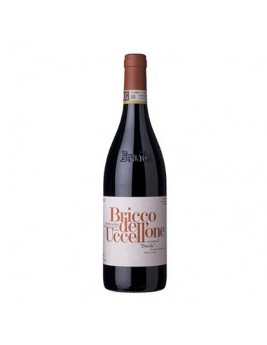 Barbera d’Asti DOCG "Bricco dell'Uccellone" 2019