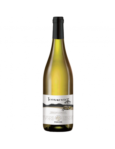 Verdicchio di Matelica Doc Terramonte