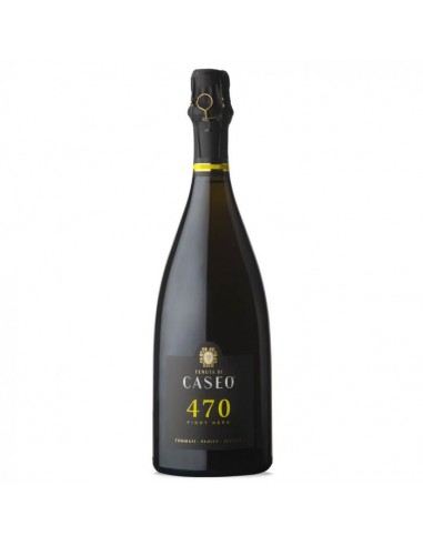 Pinot Nero Metodo Classico VSQ Caseo Millesimato Brut 470 annata 2017