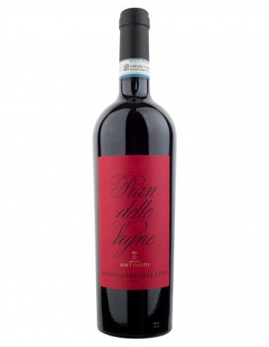 Rosso di Montalcino 2021