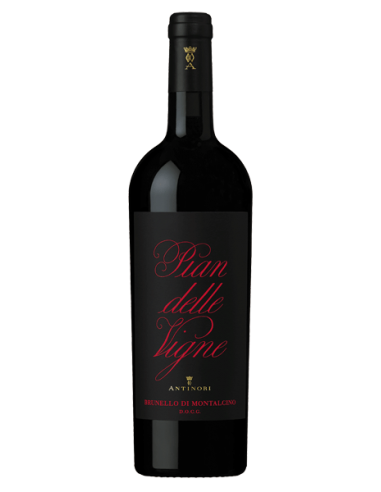 Pian delle Vigne 2016