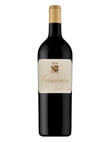 Carmenere 2018 Tenuta San Leonardo