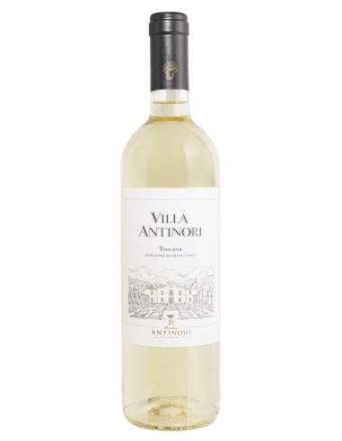 Villa Antinori Bianco 2021