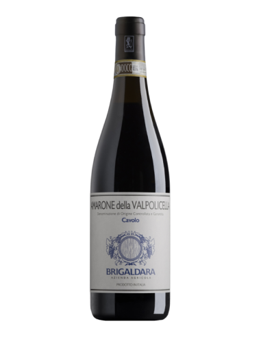 AMARONE DELLA VALPOLICELLA CAVOLO DOCG 2019