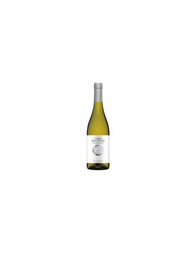 Chardonnay "Campo Maccione" 2020 Moonlite