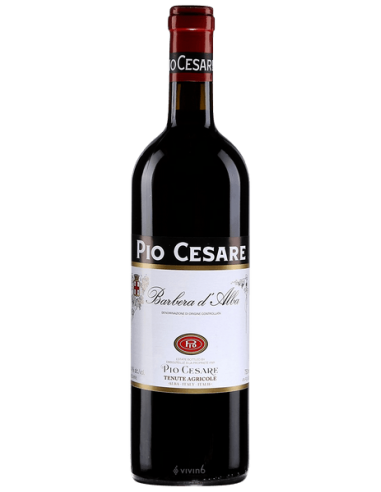 Pio Cesare "Barbera D'Alba"